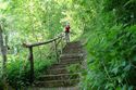  Treppe bei Beimbach 