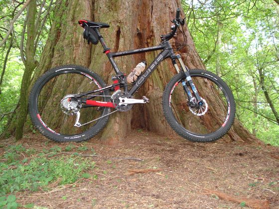 Soldis Cube Stereo vor einem Sequoia im Burgbergwald